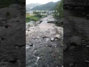 熱中症対策をしっかりして釣りを楽しんでください。