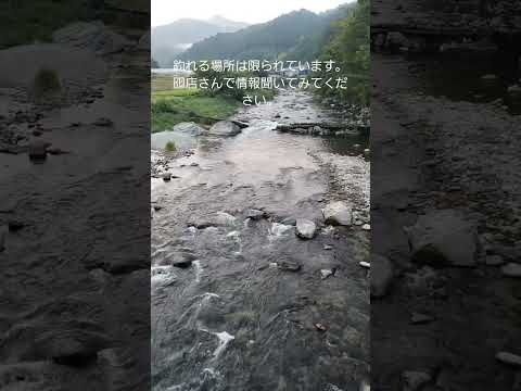 熱中症対策をしっかりして釣りを楽しんでください。