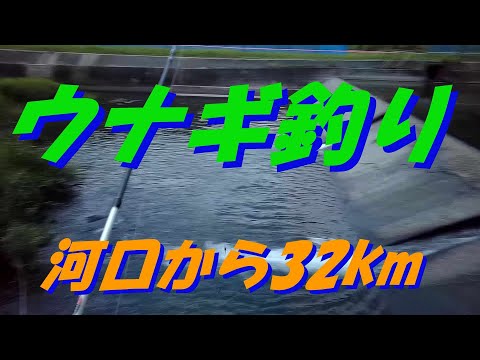 ウナギ釣り　第12弾　河口から３２ｋｍ　リベンジ編