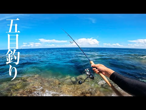 遠浅リーフはお魚天国