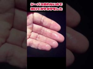 工場地帯の汽水域でガサガサ　#新潟アウトドア  #新潟釣り #ダイソー釣り具