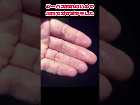 工場地帯の汽水域でガサガサ　#新潟アウトドア  #新潟釣り #ダイソー釣り具