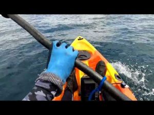 釣りを趣味にしようと思う