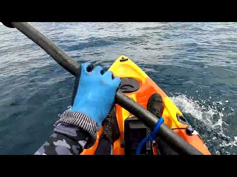 釣りを趣味にしようと思う