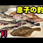 【釣り】息子ver・ソイ、ヒラメ狙い・夕マヅメ～夜釣り：2023年7月