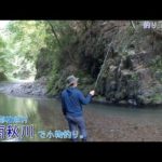 西多摩郡桧原村 南秋川で小物釣り。最高っ～！夏は渓流で涼をとりながら釣ります♪