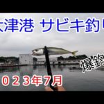 2023年7月　茨城県　大津港　サビキ釣り