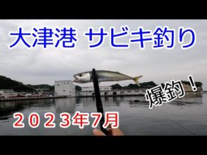 2023年7月　茨城県　大津港　サビキ釣り