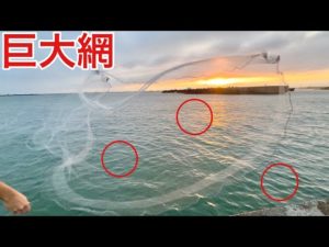 車4台分の超巨大投網を激荒れの堤防に投げたら食材取れすぎた…