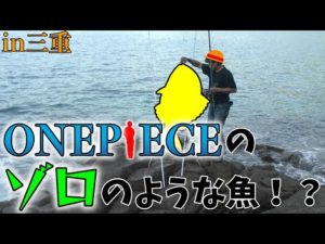 【投げ釣り師が海賊狩りを釣る！そして超でかいも来る！】第18回ふぐ名人のダーツの釣り！【第4話】