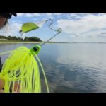 琵琶湖バス釣りライブR5-7/24