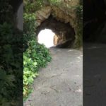 太海フワラー磯釣りセンター