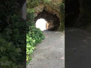 太海フワラー磯釣りセンター