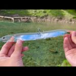 こんなルアーで釣れるわけないやろってwwww ……え、嘘やろ！！？