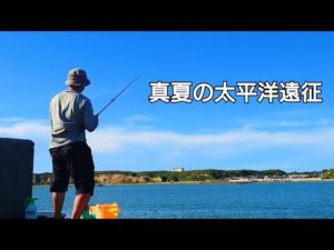 8月下旬の太平洋側で絶景を見ながらサビキで小魚を釣って大物を狙う