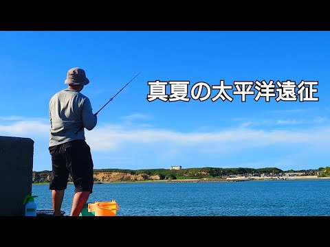 8月下旬の太平洋側で絶景を見ながらサビキで小魚を釣って大物を狙う