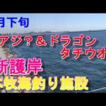 【本牧海釣り施設】尺アジ？＆ドラゴン・タチウオ？7月下旬・新護岸