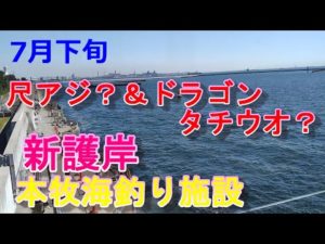 【本牧海釣り施設】尺アジ?&ドラゴン・タチウオ?7月下旬・新護岸