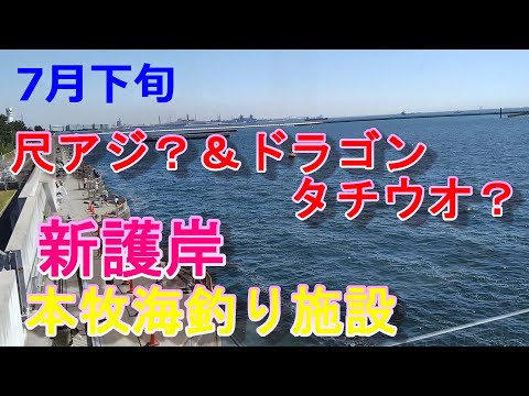 【本牧海釣り施設】尺アジ？＆ドラゴン・タチウオ？7月下旬・新護岸