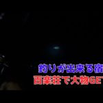 釣りが出来る宿 百楽荘で大物GET