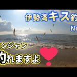 2023伊勢湾キス釣り第13回戦