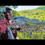 【釣り百景】#497 中国地方の二つのダム湖へビックベイトが切り開くビックバスへの道