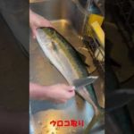 釣り部Vol.5　【釣り初心者が集まる🔰】