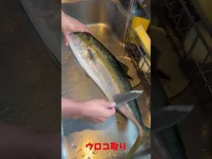 釣り部Vol.5　【釣り初心者が集まる🔰】