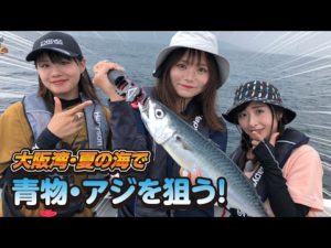 大阪湾・夏の海で青物・アジを狙う!【ガッ釣り関西208】