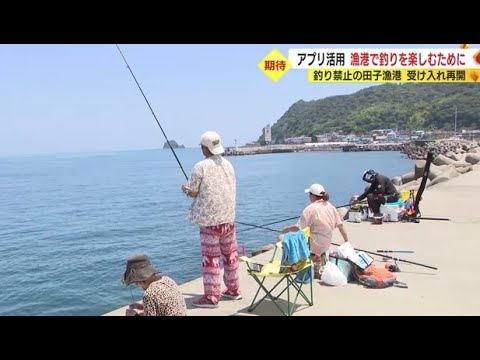 官民一体で漁港ににぎわいを　アプリ活用で釣り解禁　静岡・西伊豆町
