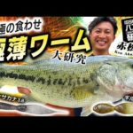 赤松健の超食わせ!　極薄ワーム大研究【イッセイISSEIバス釣り研究所】