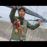 【タコ釣り】タコが釣りたい！と言われたので案内してみた！