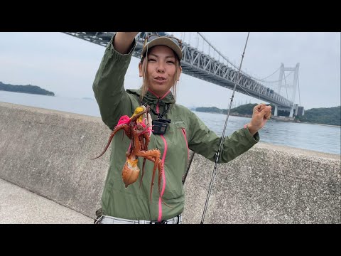 【タコ釣り】タコが釣りたい！と言われたので案内してみた！