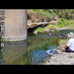 エサ代０円。これが田舎の親父に教わった簡単に釣れる夏におすすめの釣り方です。