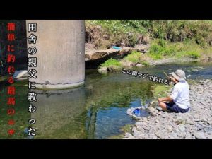 エサ代０円。これが田舎の親父に教わった簡単に釣れる夏におすすめの釣り方です。