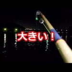 横浜の八景島付近で夜釣り。相模原のタイヤ自販機経由。