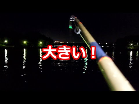 横浜の八景島付近で夜釣り。相模原のタイヤ自販機経由。