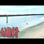 【24連針】真夏のサーフでロング仕掛けキス釣り！！