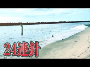 【24連針】真夏のサーフでロング仕掛けキス釣り!!
