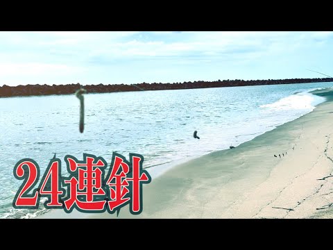 【24連針】真夏のサーフでロング仕掛けキス釣り!!