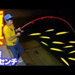 漁港の街灯下であの高級魚が爆沸きしていた！！