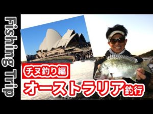 岡田建治のオーストラリア遠征釣行　シドニーでフカセ釣りでチヌを釣る