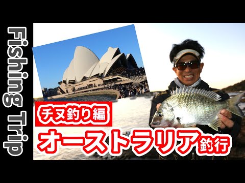 岡田建治のオーストラリア遠征釣行 シドニーでフカセ釣りでチヌを釣る