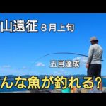 往復190キロ！夏の今の時期ソウダガツオが熱いと噂の場所でまさかの釣り場に着いて直ぐに〇〇が入れ食い!
