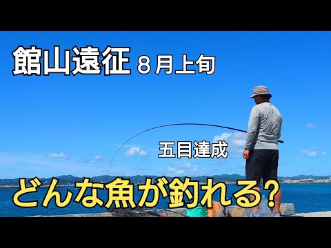 往復190キロ！夏の今の時期ソウダガツオが熱いと噂の場所でまさかの釣り場に着いて直ぐに〇〇が入れ食い!