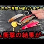 青物が釣れまくりで話題の弓角仕掛けに小型ルアーを色々付けると、衝撃の結果が…