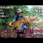 【のべ竿担いで】夏休み気分山盛りの川の釣り！@千葉県・夷隅川フィッシングパーク跡地【ちょろっとコイ釣り】