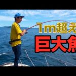 釣りよかルアーを落としたら巨大◯◯が食い付いた！
