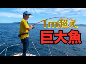 釣りよかルアーを落としたら巨大◯◯が食い付いた！