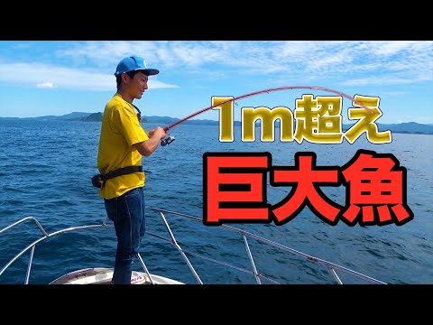 釣りよかルアーを落としたら巨大◯◯が食い付いた！